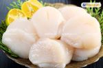 Cồi sò điệp Nhật Bản -Japanese Scallops