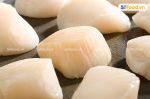 Cồi sò điệp Nhật Bản -Japanese Scallops