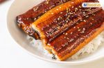 Lươn nướng Unagi Kabayaki